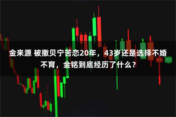 金来源 被撒贝宁苦恋20年，43岁还是选择不婚不育，金铭到底经历了什么？