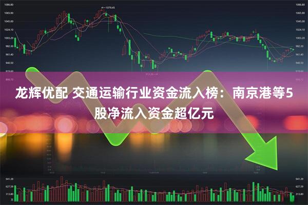 龙辉优配 交通运输行业资金流入榜：南京港等5股净流入资金超亿元