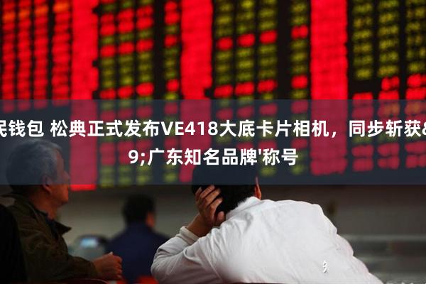 股民钱包 松典正式发布VE418大底卡片相机，同步斩获'广东知名品牌'称号